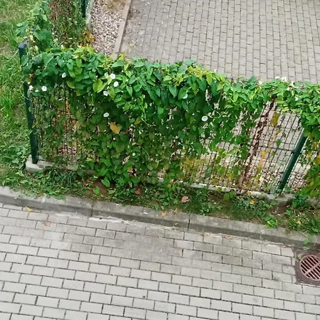 Apartament Pepe 40 Mkw Szczecin